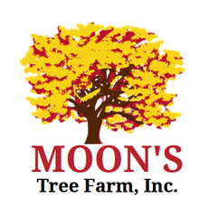 Moon's Tree Farm