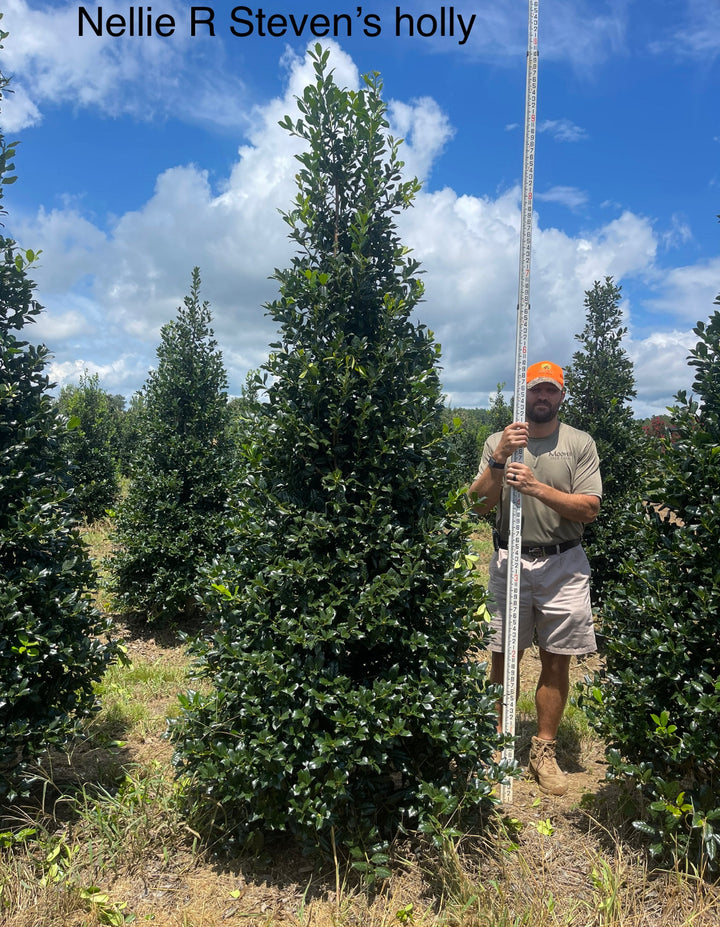 image_d666cf57-65f9-4e7d-b1b6-